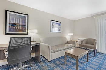 Standard Room, 1 King Bed, Accessible, Balcony (Walk-in Shower;with Sofabed)