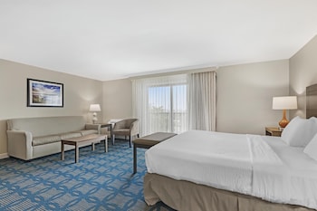 Standard Room, 1 King Bed, Non Smoking, Balcony (Shower Only with Sofabed)