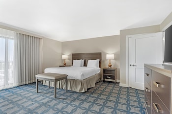 Standard Room, 1 King Bed, Accessible, Balcony (Walk-in Shower;with Sofabed)