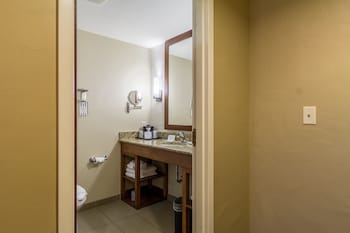 Suite , 1 King Bed Non Smoking, 1 Person Sofa Bed, No pets Allowed
