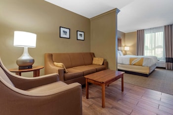 Room, 1 King Bed with Sofa bed, Non Smoking