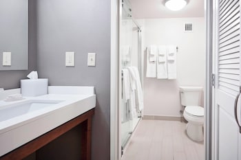 Room, 1 King Bed, Balcony (Mobility/Hearing Access, Roll-in Shwr)