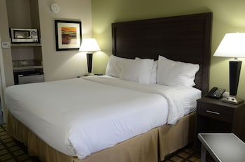 Business Room, 1 King Bed, Non Smoking