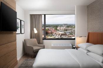 Room, 1 King Bed with Sofa bed
