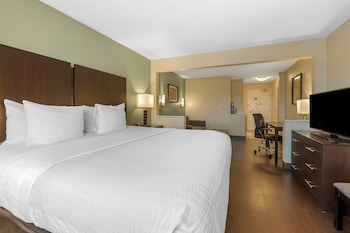 Suite, 1 King Bed, Non Smoking, Refrigerator & Microwave (with Sofabed)
