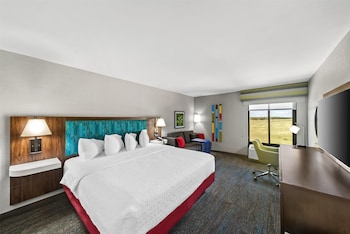 Room, 1 King Bed with Sofa bed