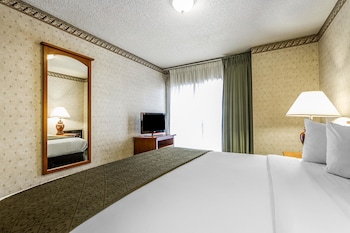 Room, 1 King Bed, Accessible, Non Smoking