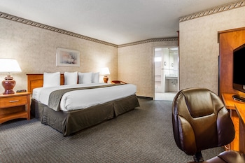 Room, 1 King Bed, Accessible, Non Smoking