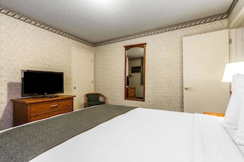 Suite, 1 Queen Bed, Non Smoking
