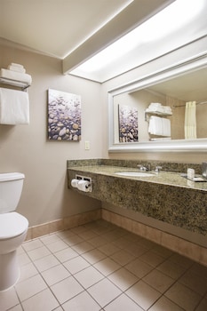 Standard Room, 1 King Bed, Accessible, Bathtub