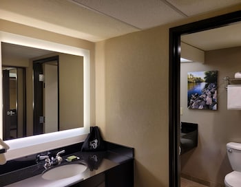 Standard Room, 1 King Bed, Non Smoking, Refrigerator & Microwave (View)