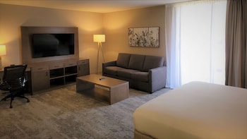 Standard Room, 1 King Bed, Non Smoking (Living Room;Shower Only;with Sofabed)