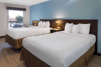 2 Full Beds | Suite, Non-Smoking, Micfridge