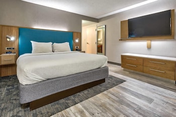 Room, 1 King Bed with Sofa bed, Accessible, Non Smoking