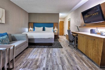 Room, 1 King Bed with Sofa bed (Mobility/Hearing Access, Roll-In Shwr)