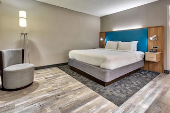 Room, 1 King Bed with Sofa bed, Accessible, Non Smoking