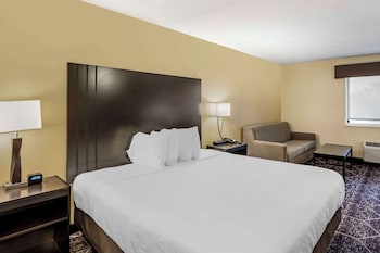 Standard Room, 1 King Bed, Non Smoking, Refrigerator & Microwave