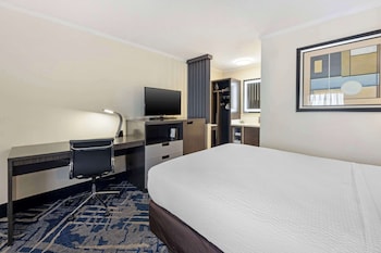 Standard Room, 1 Queen Bed, Non Smoking, Refrigerator (Shower Only)
