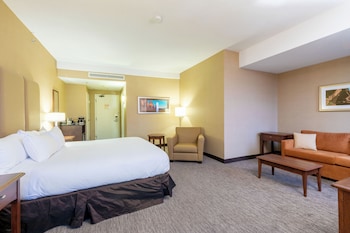 City Room, 1 King Bed with Sofa bed, Non Smoking, City View