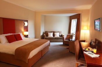 Executive Room, 1 Double Bed with Sofa bed (Family)