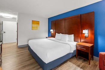 Room, 1 King Bed, Accessible, Non Smoking