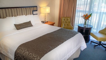 Room, 1 King Bed, Non Smoking, Courtyard View
