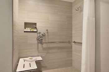 Room, 1 King Bed, Accessible (Roll In Shower)
