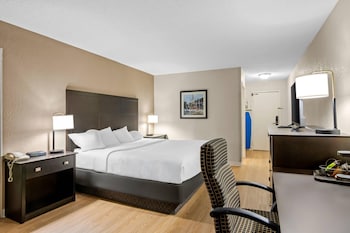 Standard Room, 1 King Bed, Non Smoking
