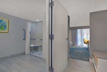 Room, 1 King Bed, Accessible, Microwave