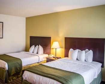 Standard Double Room, 2 Double Beds, Non Smoking