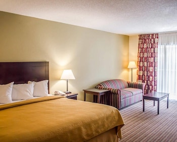 Suite, 1 King Bed with Sofa bed