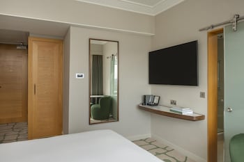 Room, 1 Queen Bed, Bathtub, Park View
