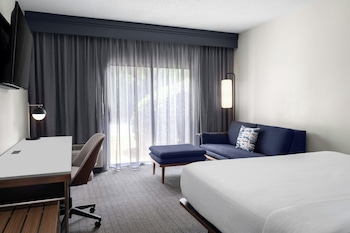 Standard Room, 1 King Bed with Sofa bed