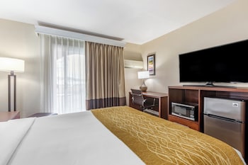 Single Room, 1 Queen Bed, Non Smoking