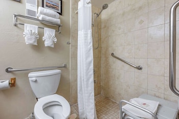 Standard Room, 1 King Bed with Sofa bed, Accessible, Non Smoking (Roll-In Shower)