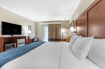Deluxe Single Room, 1 King Bed, Roll-in Shower, Non Smoking