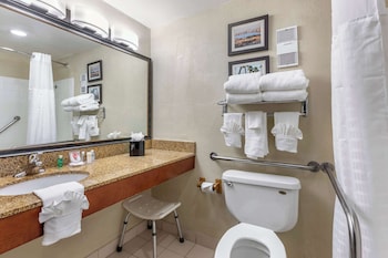 Standard Room, 1 King Bed with Sofa bed, Accessible, Non Smoking