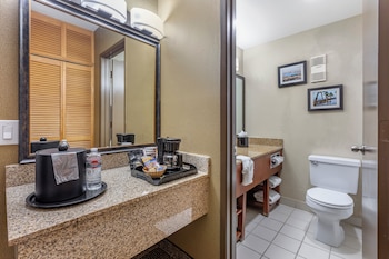 Deluxe Single Room, 1 King Bed, Roll-in Shower, Non Smoking
