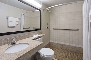 Room, 1 King Bed, Accessible