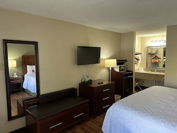 Room, 1 King Bed, Smoking