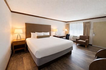 Standard Room, 1 King Bed