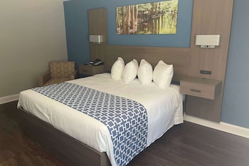 Room, 1 King Bed, Non Smoking