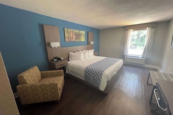 Room, 1 King Bed, Non Smoking