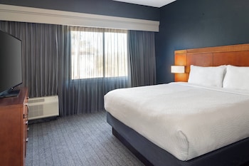 Room, 1 King Bed with Sofa bed (Hearing Accessible)