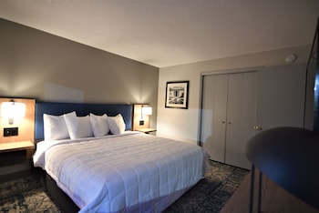 Studio Suite, 1 King Bed, Non Smoking