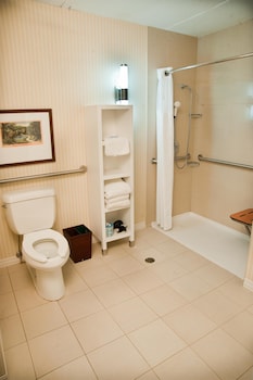 Room, 1 Queen Bed, Mobility Accessible