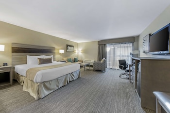 Junior Suite, 1 King Bed with Sofa bed, Non Smoking, Balcony (with Sofabed)