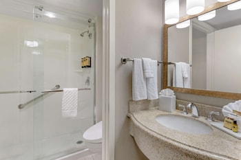 Deluxe Room, 1 King Bed with Sofa bed, Non Smoking, Refrigerator & Microwave (with Sofabed)