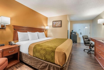 Room, 1 King Bed, Accessible, Non Smoking