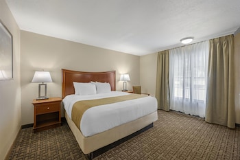Standard Room, 1 King Bed, Non Smoking, Refrigerator & Microwave